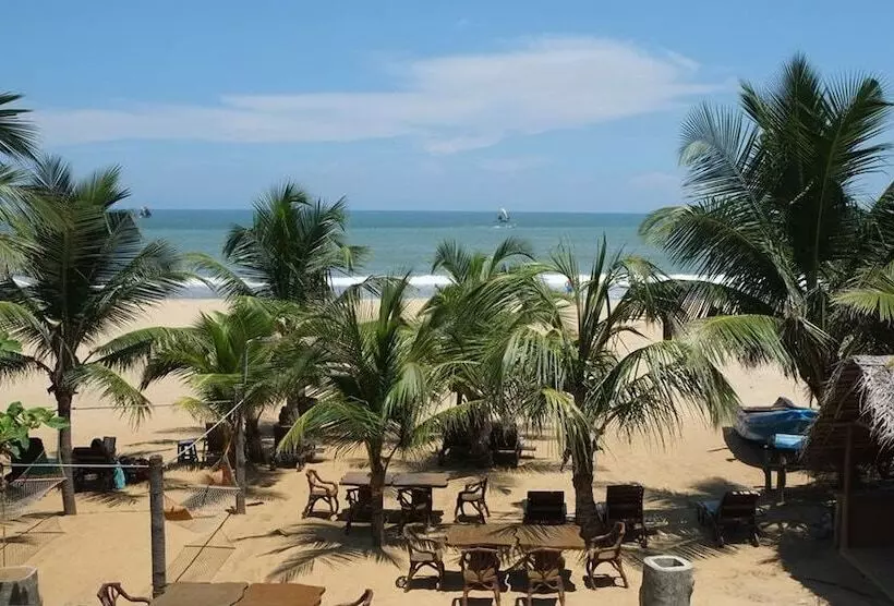 Hotel Reggie S Guesthouse