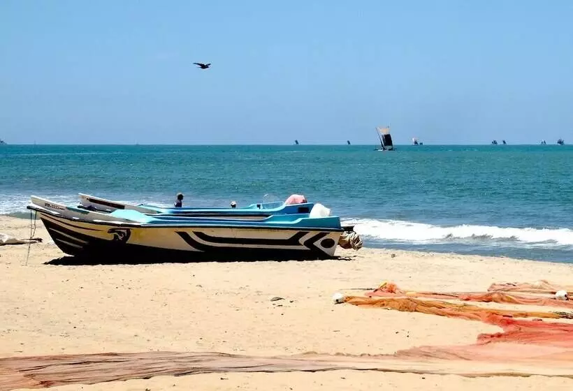 Hotel Reggie S Guesthouse