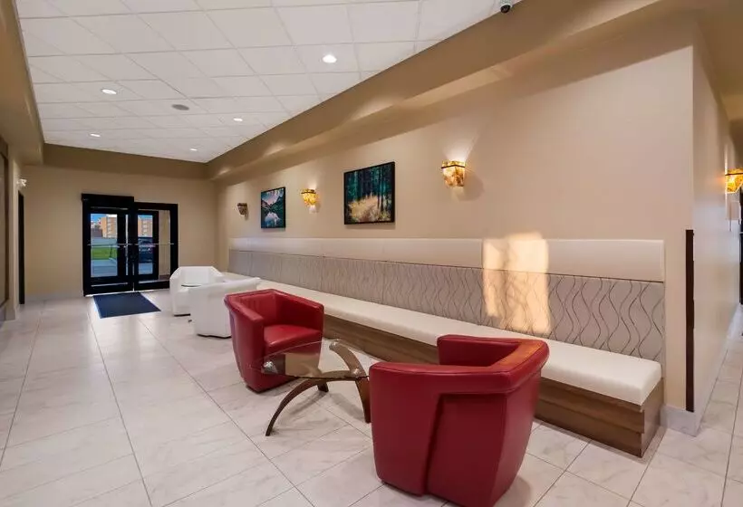 בית מלון כפרי 11, Mod A Sonesta Collection