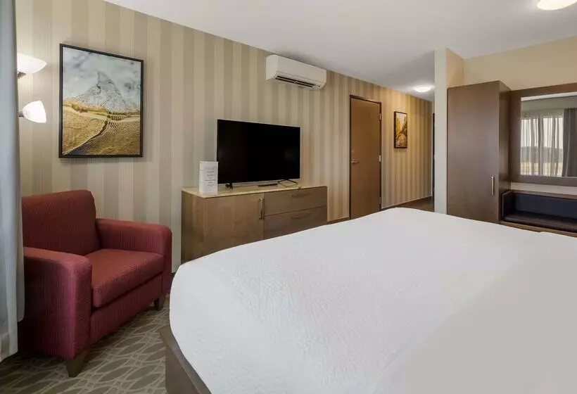 בית מלון כפרי 11, Mod A Sonesta Collection