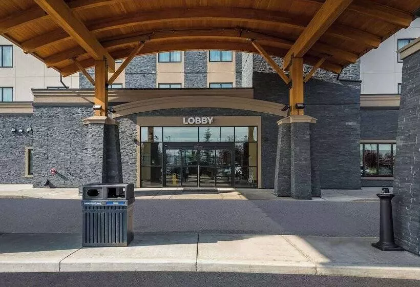 בית מלון כפרי 11, Mod A Sonesta Collection