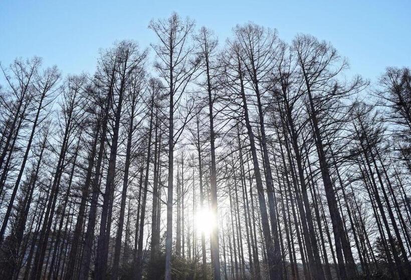 호텔 Highland Furano