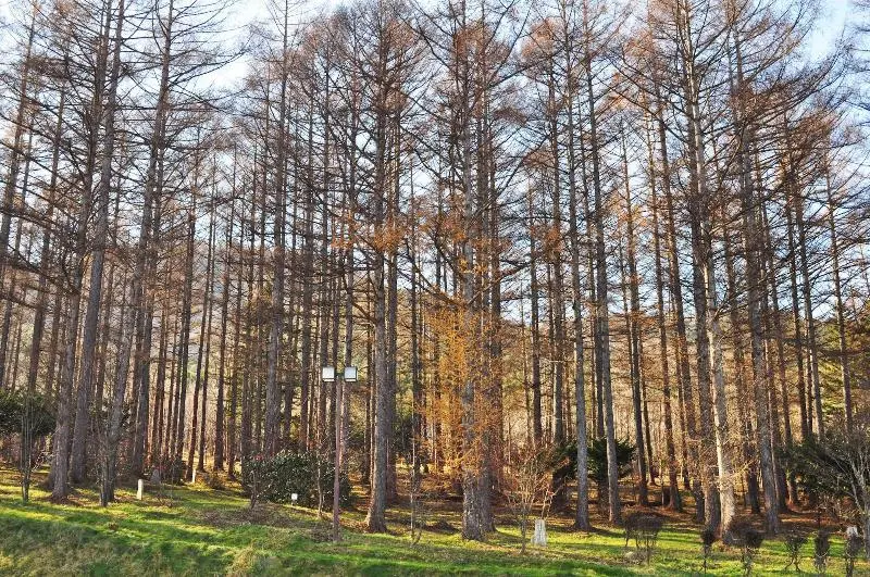 Hotelli Highland Furano