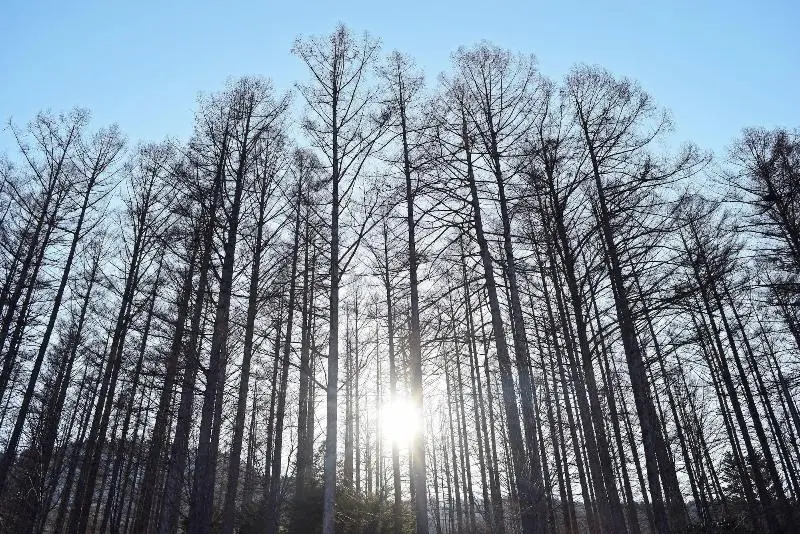 Hotelli Highland Furano