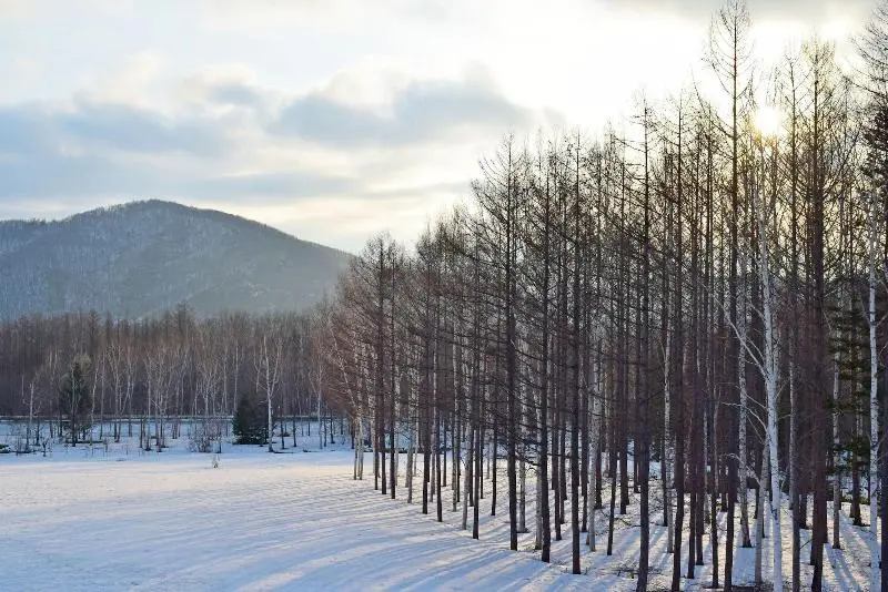 Hotelli Highland Furano