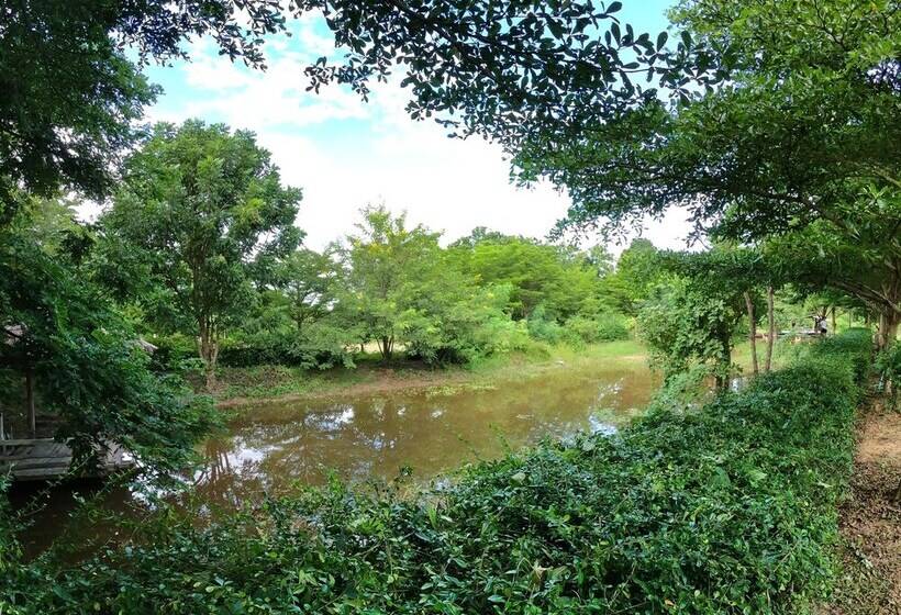 בית מלון כפרי Naracha Resort