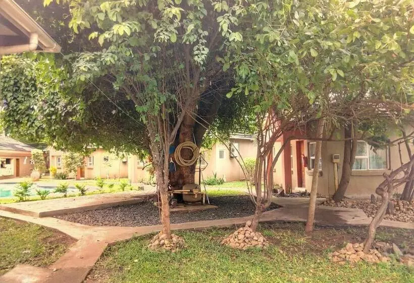 هتل Tasha Lodge And Tours