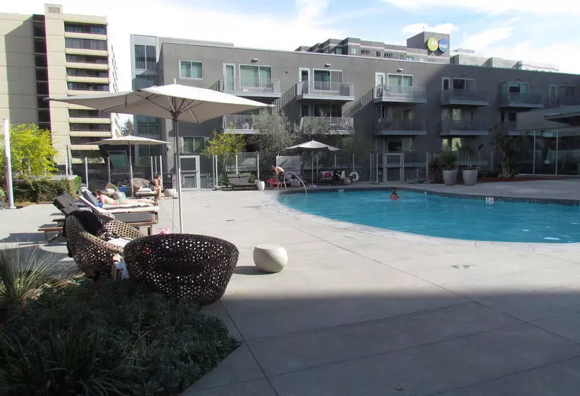 Luxury Place In Downtown