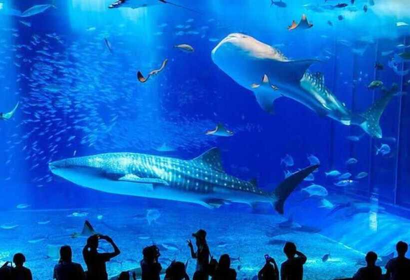 Wisteria Condominium Resort