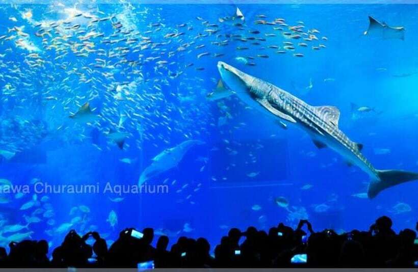 Wisteria Condominium Resort