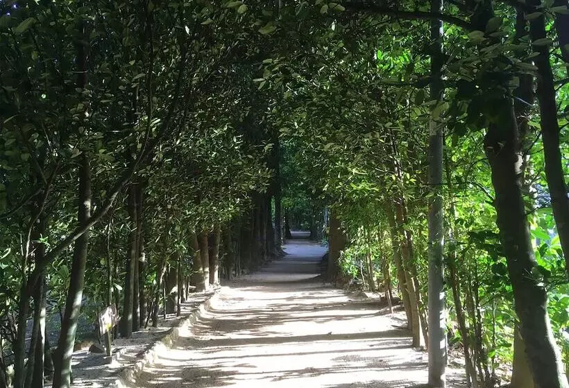 Wisteria Condominium Resort