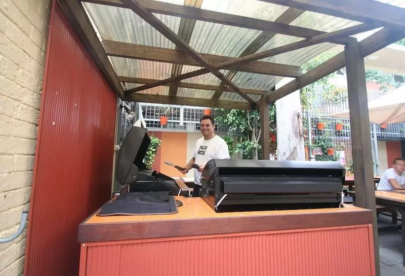 فندق صغير Original Backpackers