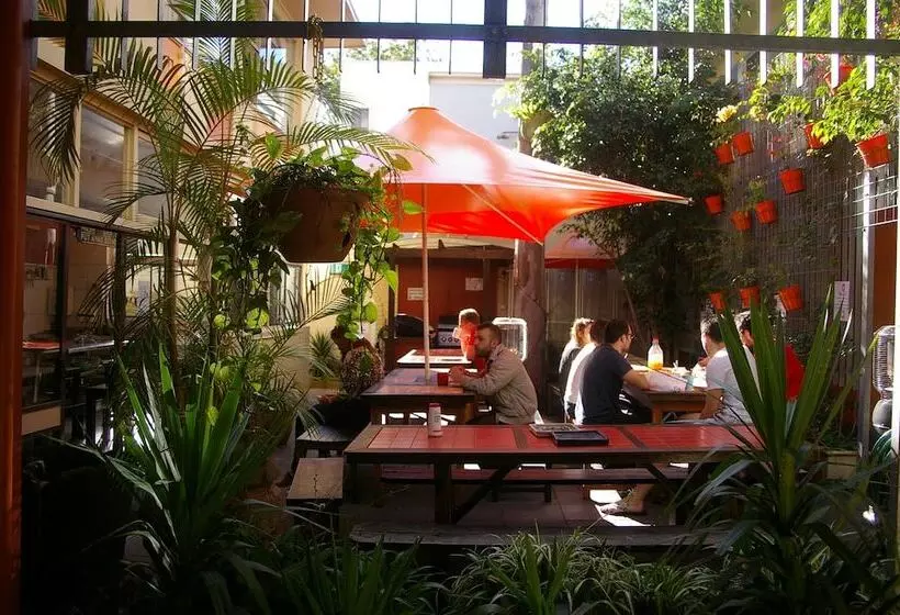 فندق صغير Original Backpackers