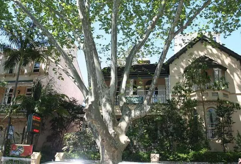 فندق صغير Original Backpackers