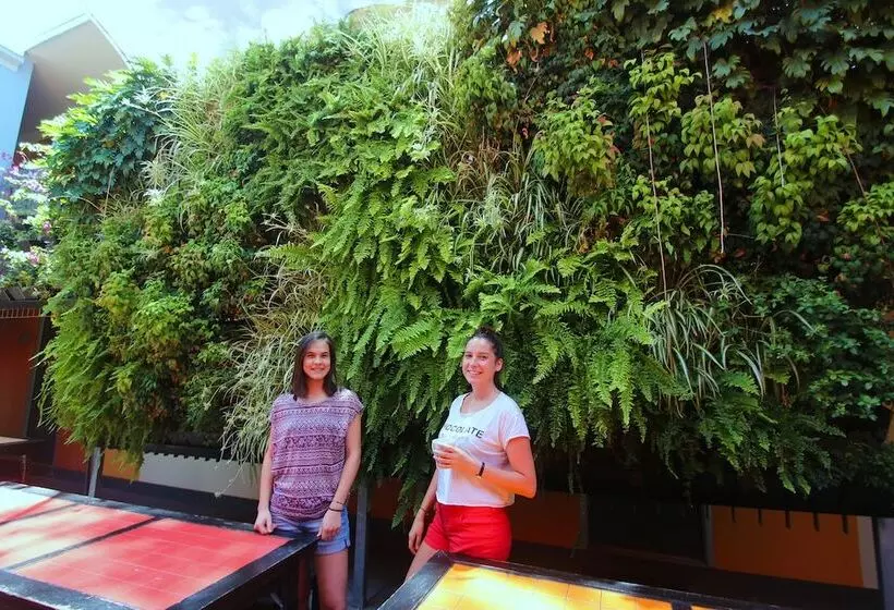 فندق صغير Original Backpackers