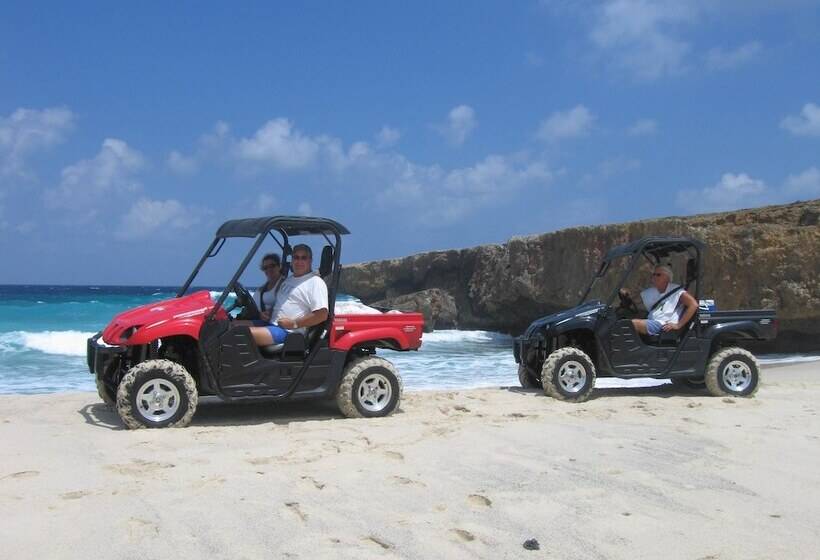 تختخواب و صبحانه Driftwood Gardens