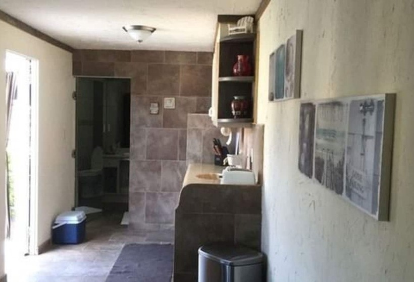 تختخواب و صبحانه Driftwood Gardens