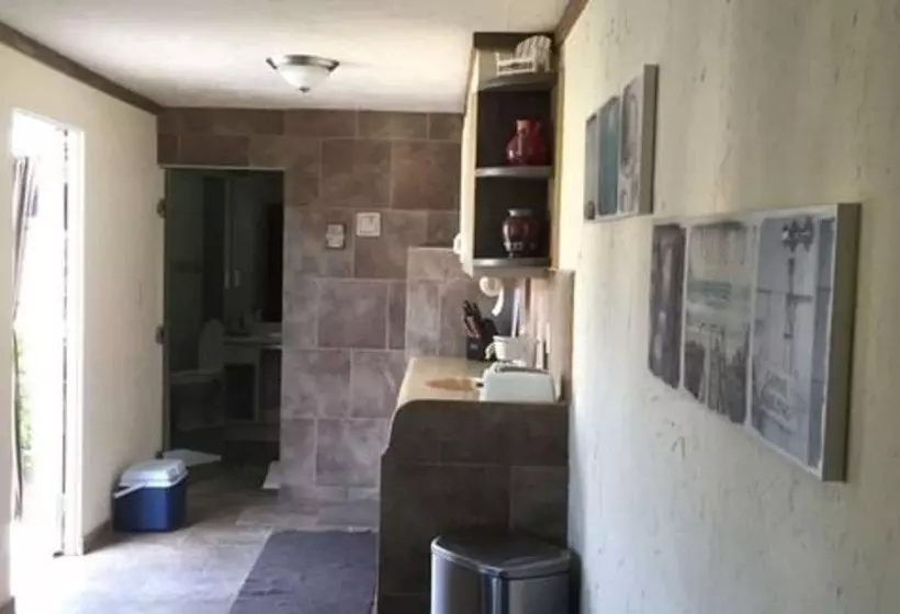 تختخواب و صبحانه Driftwood Gardens