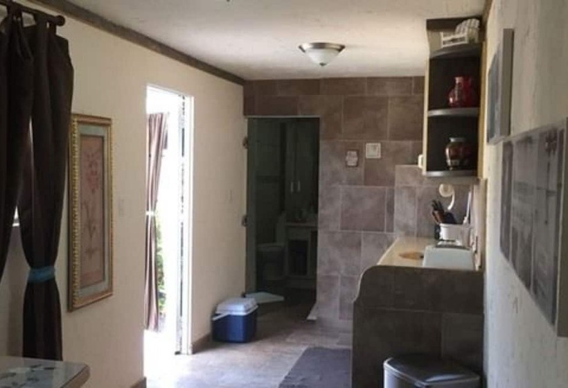 تختخواب و صبحانه Driftwood Gardens