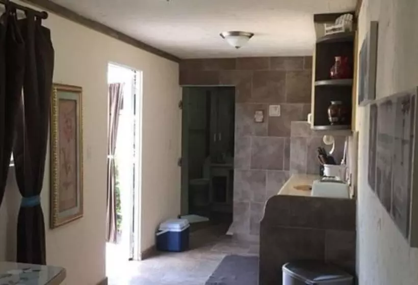 تختخواب و صبحانه Driftwood Gardens