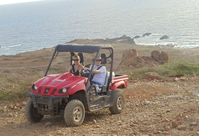 تختخواب و صبحانه Driftwood Gardens