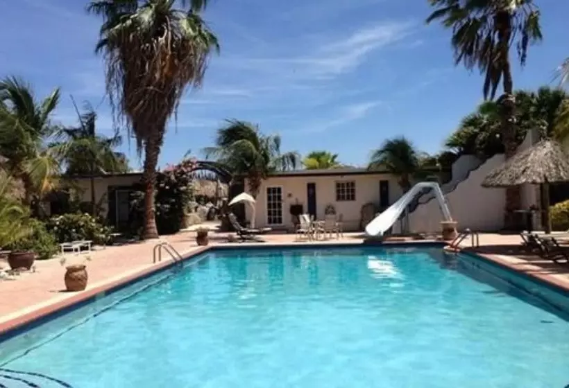 تختخواب و صبحانه Driftwood Gardens