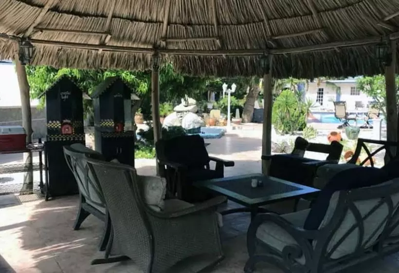 تختخواب و صبحانه Driftwood Gardens