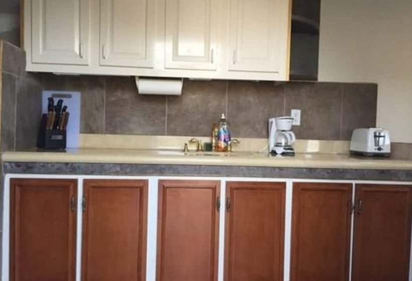 تختخواب و صبحانه Driftwood Gardens