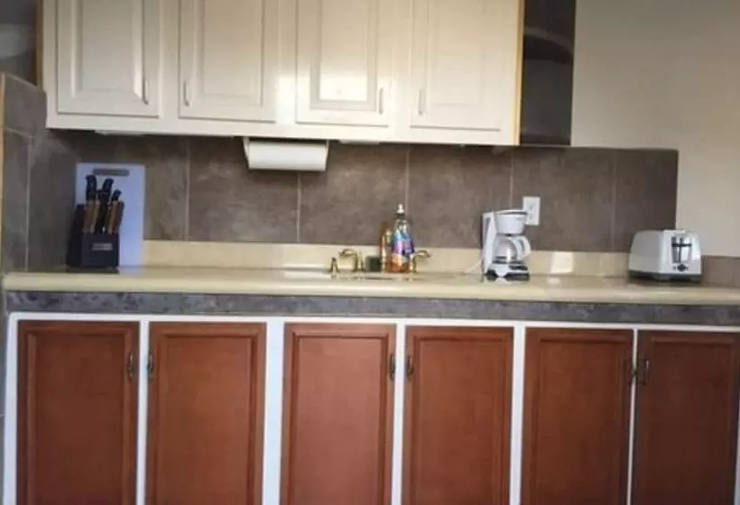 تختخواب و صبحانه Driftwood Gardens