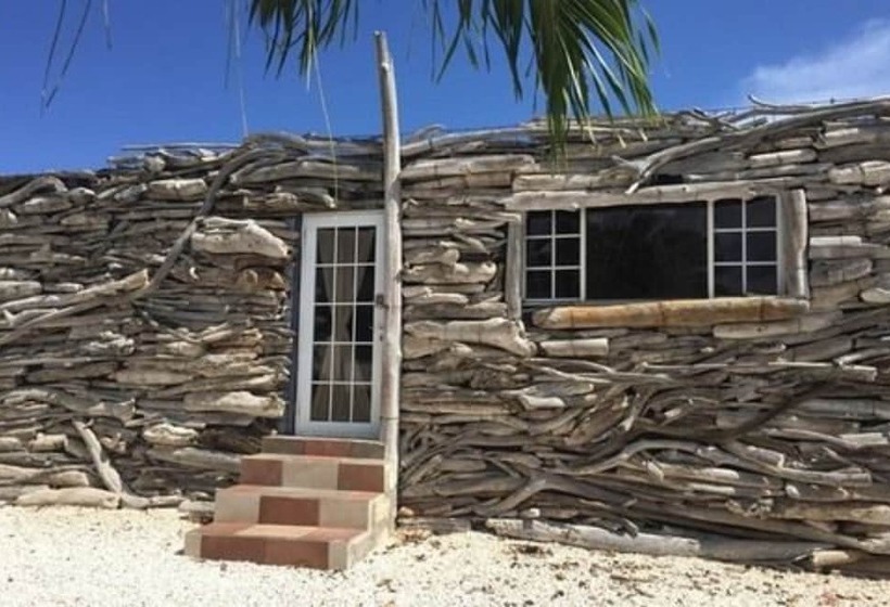 تختخواب و صبحانه Driftwood Gardens