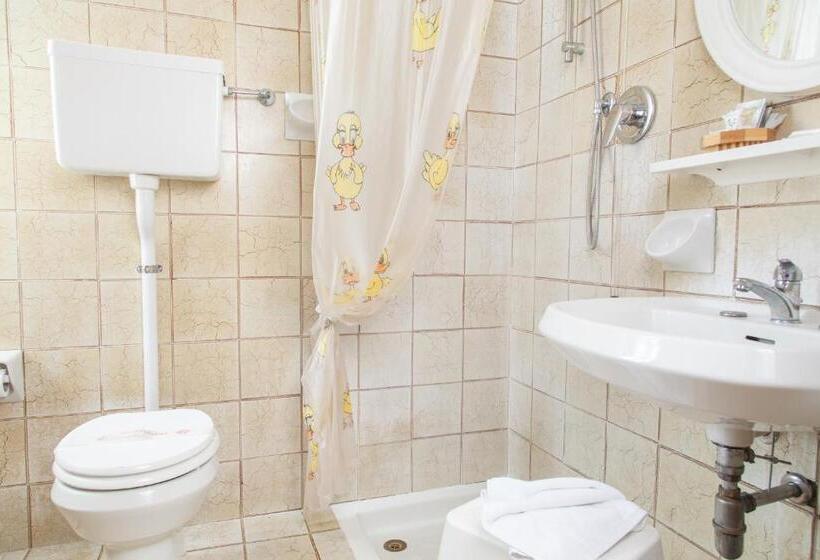 Отель Ricordo Du Parc