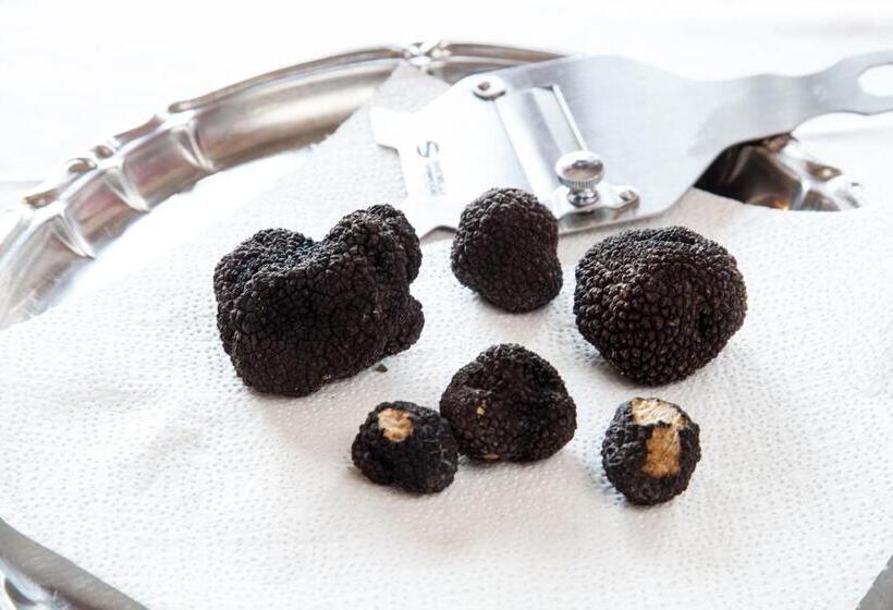 Отель Ricordo Du Parc