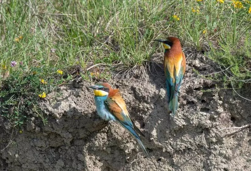 هتل Tenuta Borgo Santa Cecilia