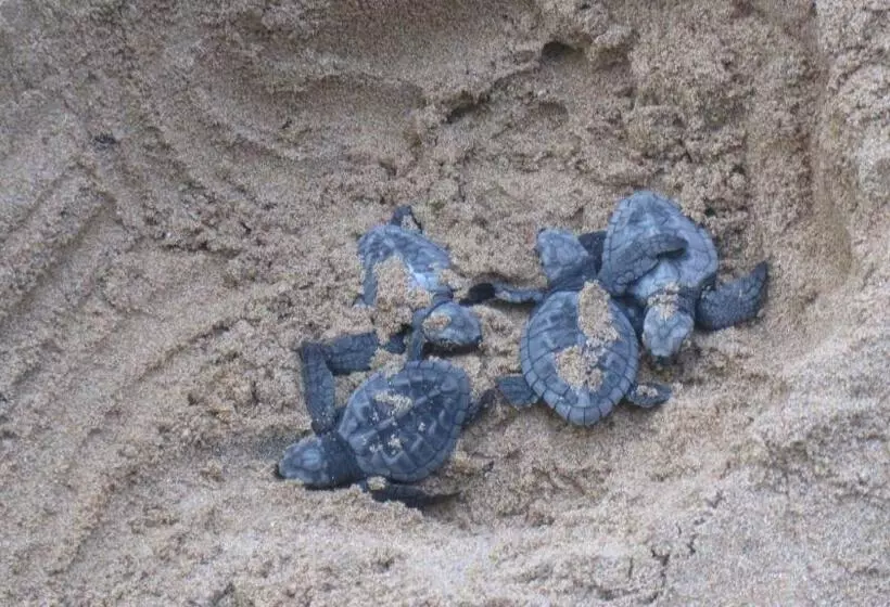 Hotel Villa Ranmenika