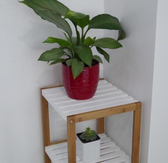 汽车旅馆  Parnell Pines