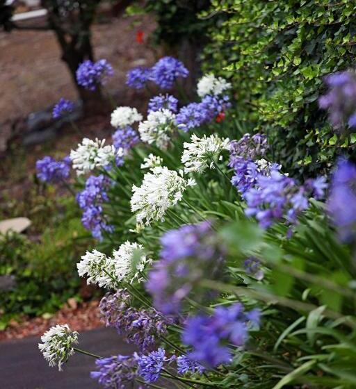 汽车旅馆  Parnell Pines