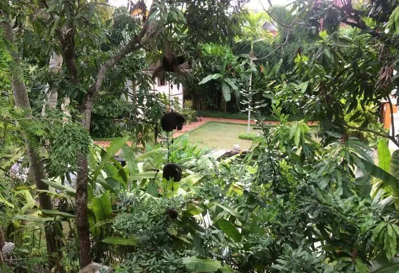 ペンション Villa Khoum Xieng Thong Boutique
