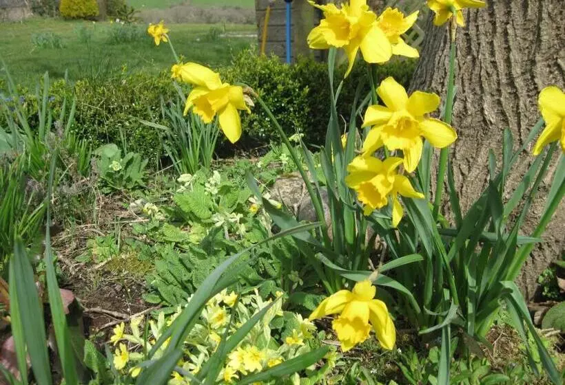 צימר Treliver Farm