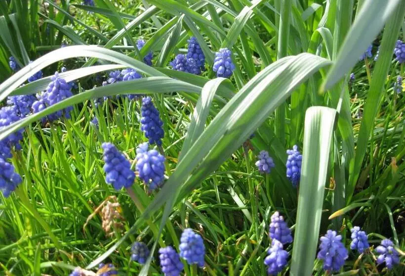 צימר Treliver Farm