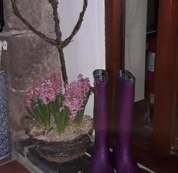 צימר Treliver Farm