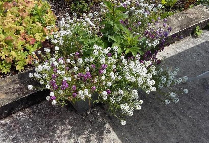 Bed and Breakfast Treliver Farm