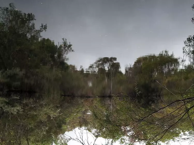 酒店 Denmark Forest Retreat