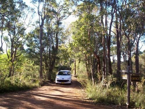 Отель Denmark Forest Retreat