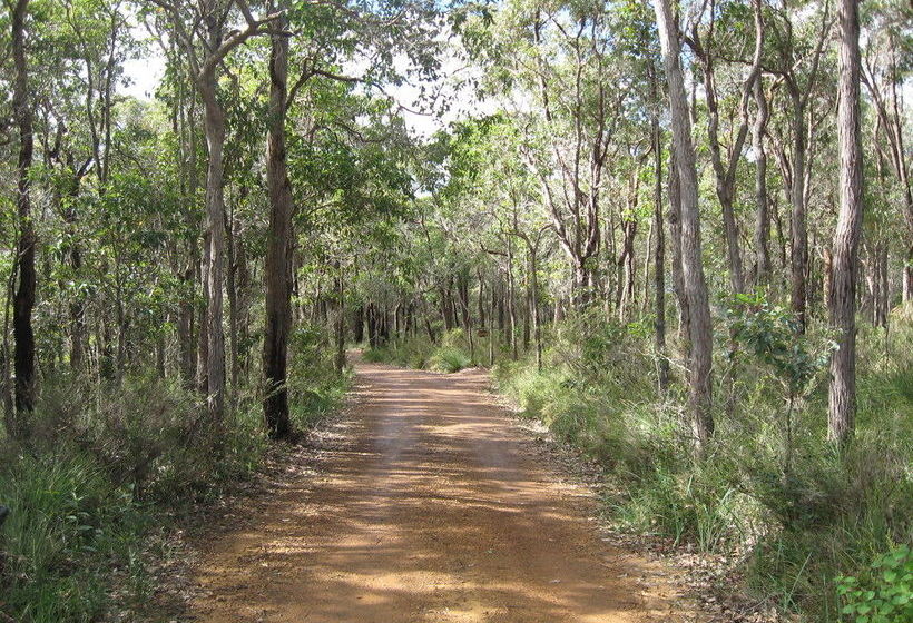 Отель Denmark Forest Retreat