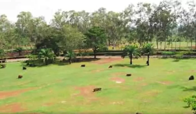 هتل Nike Lake Resort