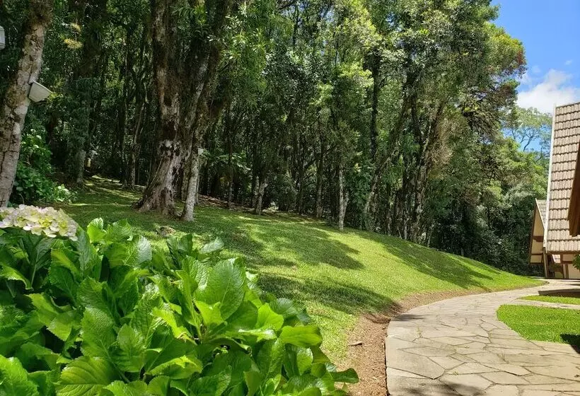 ホテル Pousada Das Flores