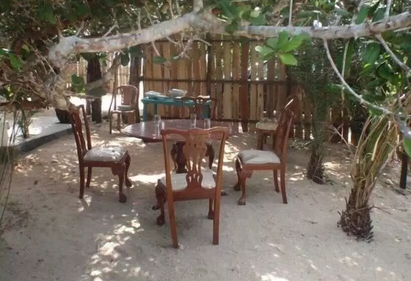 Отель Wella Simbina Rella Kalpitiya