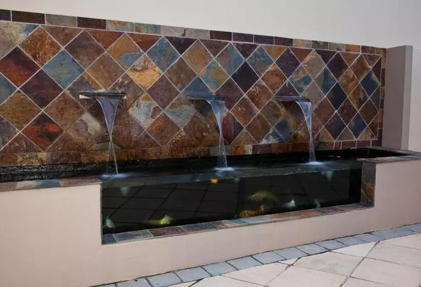 פנסיון Forest Manor Boutique Guesthouse