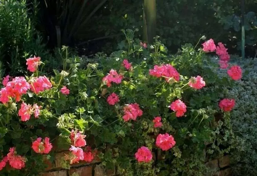 پانسیون Kingsmead Guest House