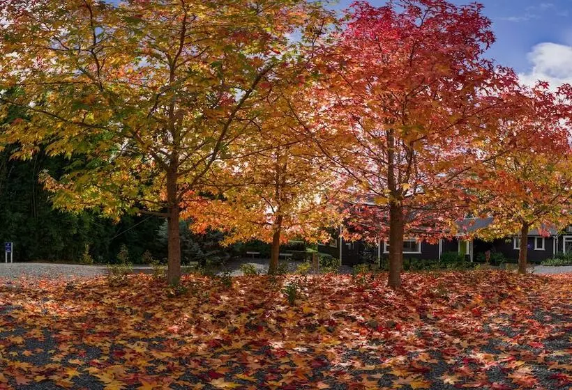 צימר Treghan Luxury Lodge